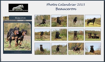 Calendrier Beauceron 2015